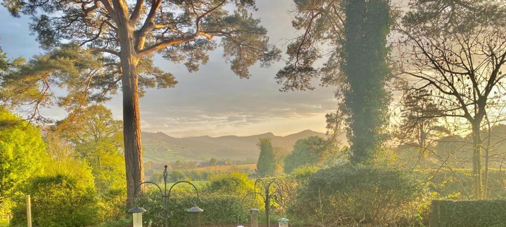 Mountain Suite, Stunning Views, Brecon Beacons Llanhamlach Екстер'єр фото